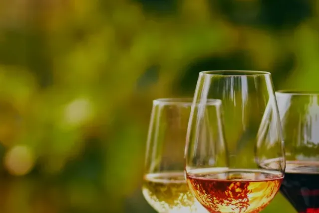 Dagstur Bohuslän Mat & Vin