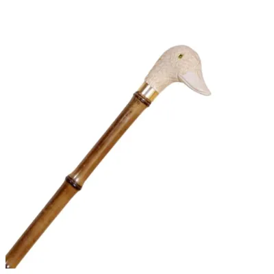 Käpp med ankhuvud